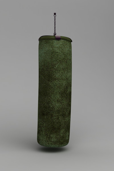 3d boxing bag - Boxing Bag by dentonvanzan